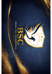 logo da bscbrasil